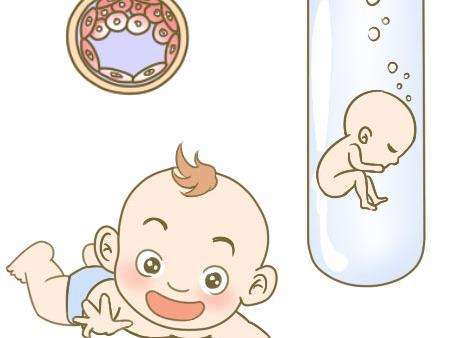 供卵包男孩正规代生公司
